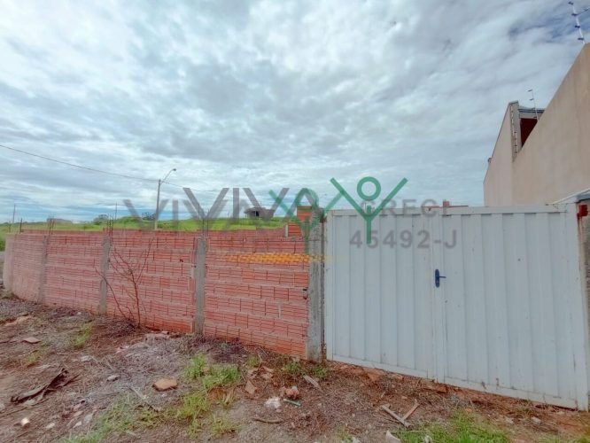 VV1012011