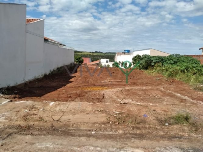 VV201001
