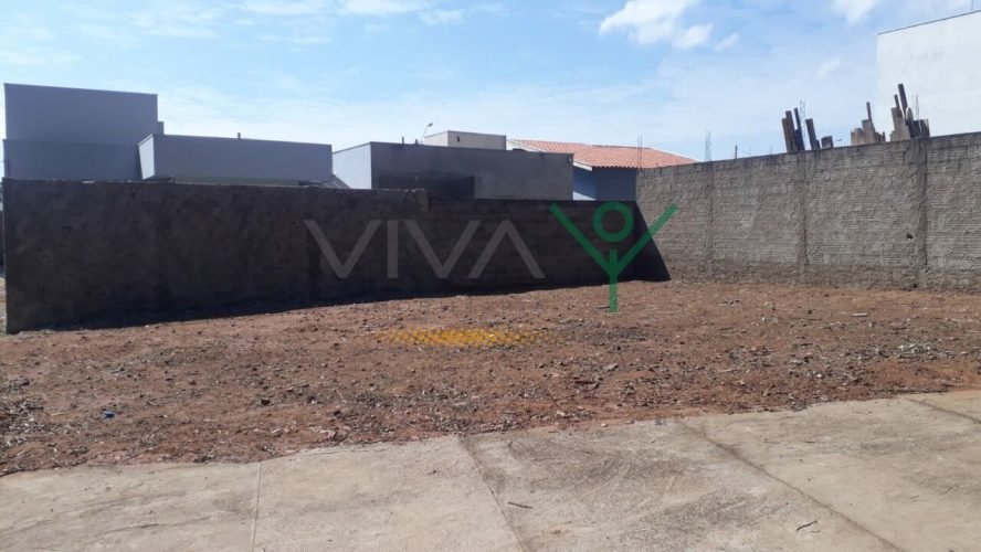 VV80003