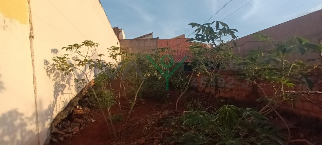 WhatsApp Image 2025-09-09 at 17.26.08 (1)