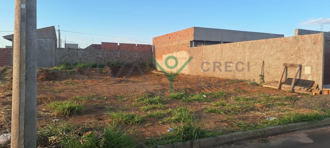 WhatsApp Image 2026-01-26 at 11.12.31