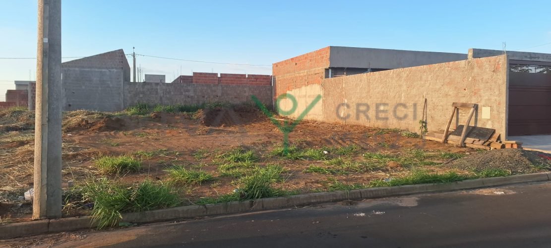 WhatsApp Image 2026-01-26 at 11.12.32