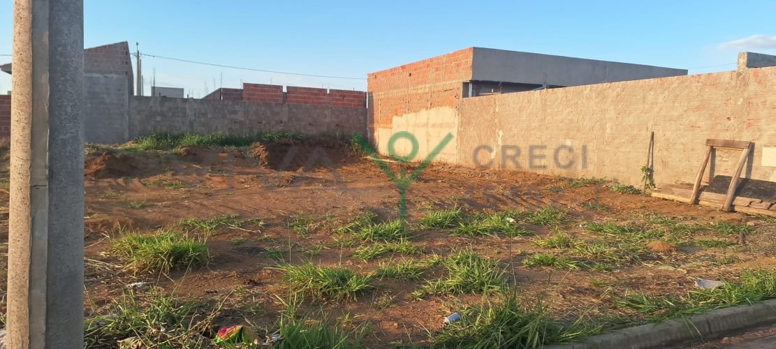 WhatsApp Image 2026-01-26 at 11.12.41 (1)