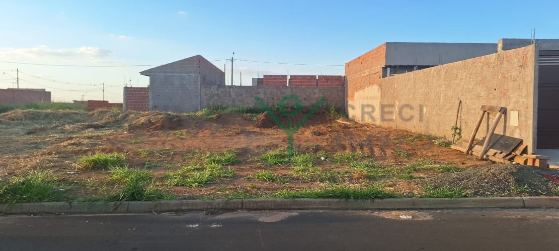 WhatsApp Image 2026-01-26 at 11.12.41