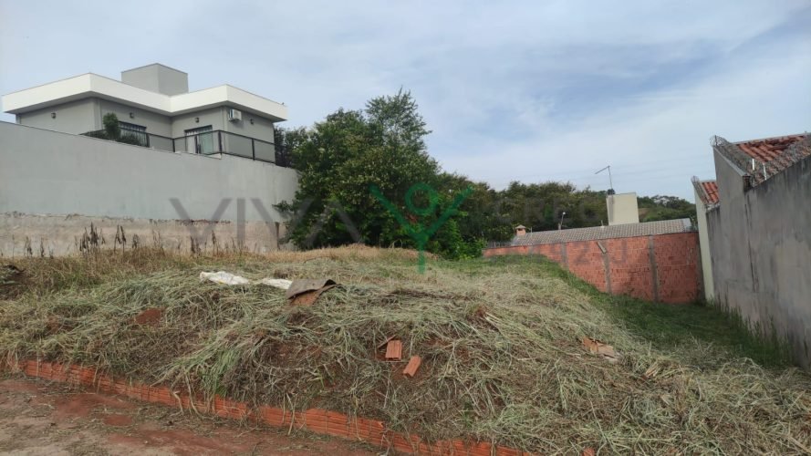 WhatsApp Image 2026-01-26 at 11.13.20 (1)