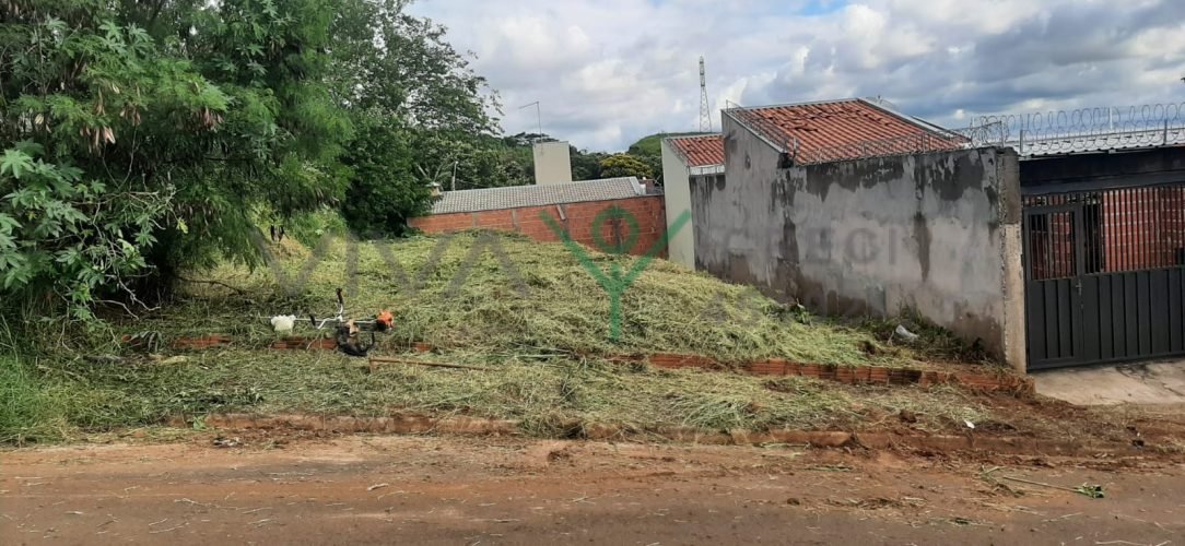 WhatsApp Image 2026-01-26 at 11.13.20