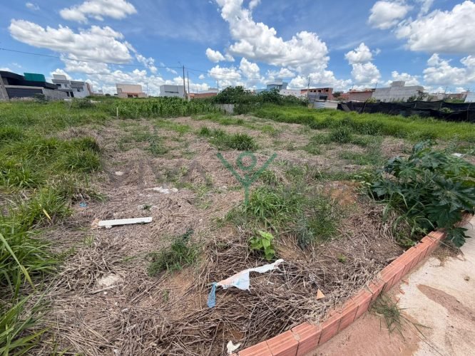 WhatsApp Image 2026-01-28 at 12.44.52