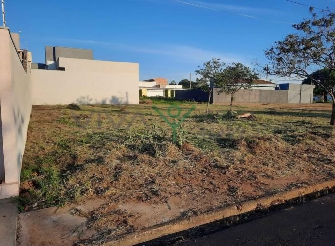 WhatsApp Image 2026-02-26 at 13.06.00