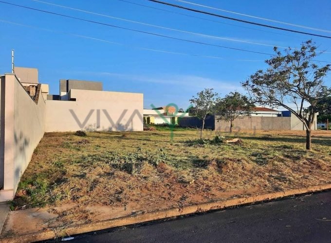 WhatsApp Image 2026-02-26 at 13.06.01 (1)