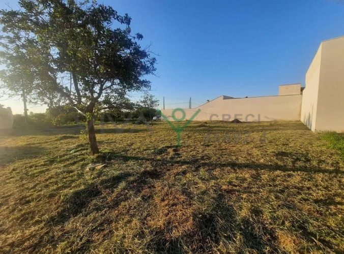 WhatsApp Image 2026-02-26 at 13.06.01