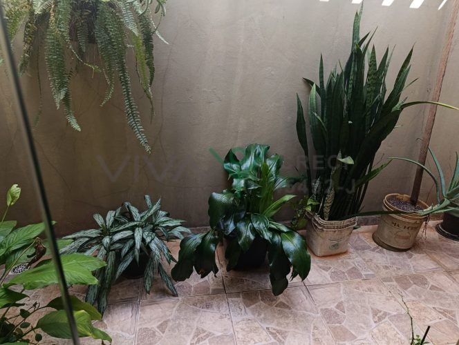 WhatsApp Image 2026-03-04 at 11.21.29 (1)