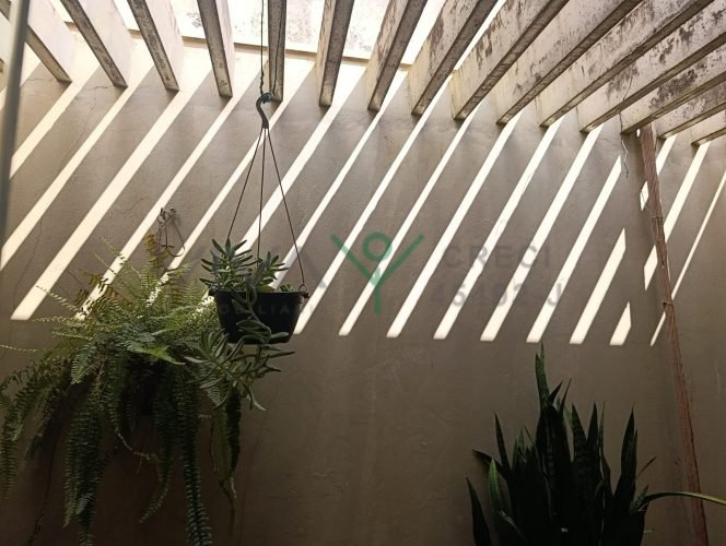 WhatsApp Image 2026-03-04 at 11.21.29