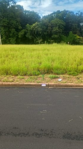 WhatsApp Image 2026-03-18 at 08.47.26