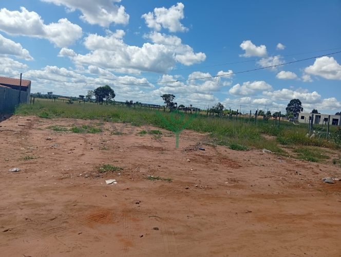 WhatsApp Image 2026-03-30 at 16.23.13