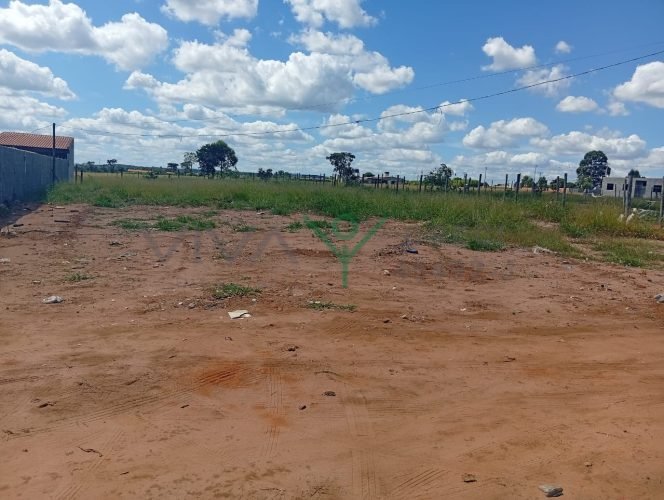 WhatsApp Image 2026-03-30 at 16.23.14