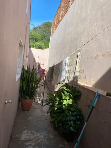 WhatsApp Image 2026-04-01 at 12.30.09 (3)